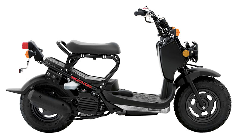 2019 Honda Ruckus in Spencerport, New York