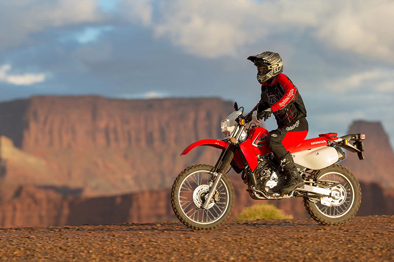 2021 Honda XR650L in Spencerport, New York - Photo 7