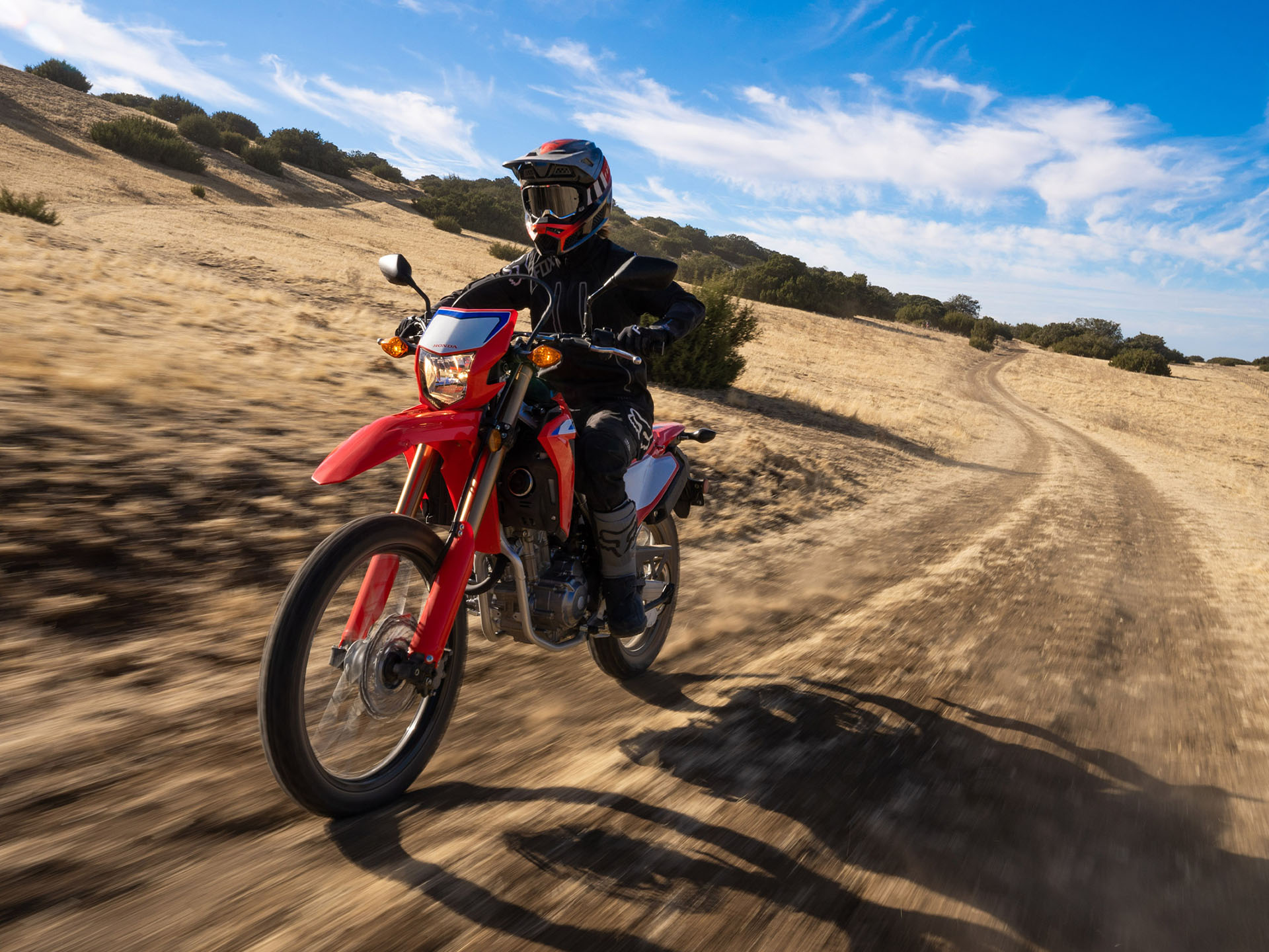 2022 Honda CRF300L ABS in Spencerport, New York - Photo 5
