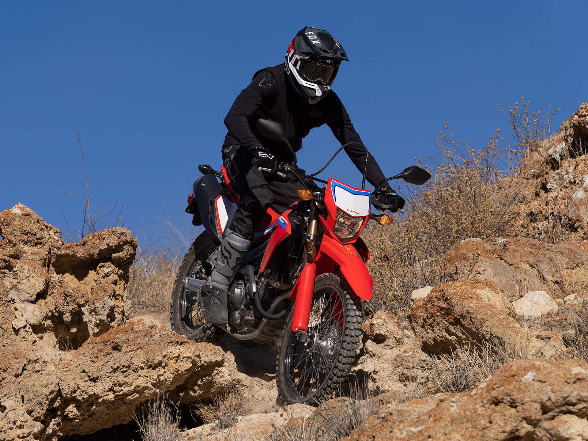 2022 Honda CRF300L ABS in Spencerport, New York - Photo 7