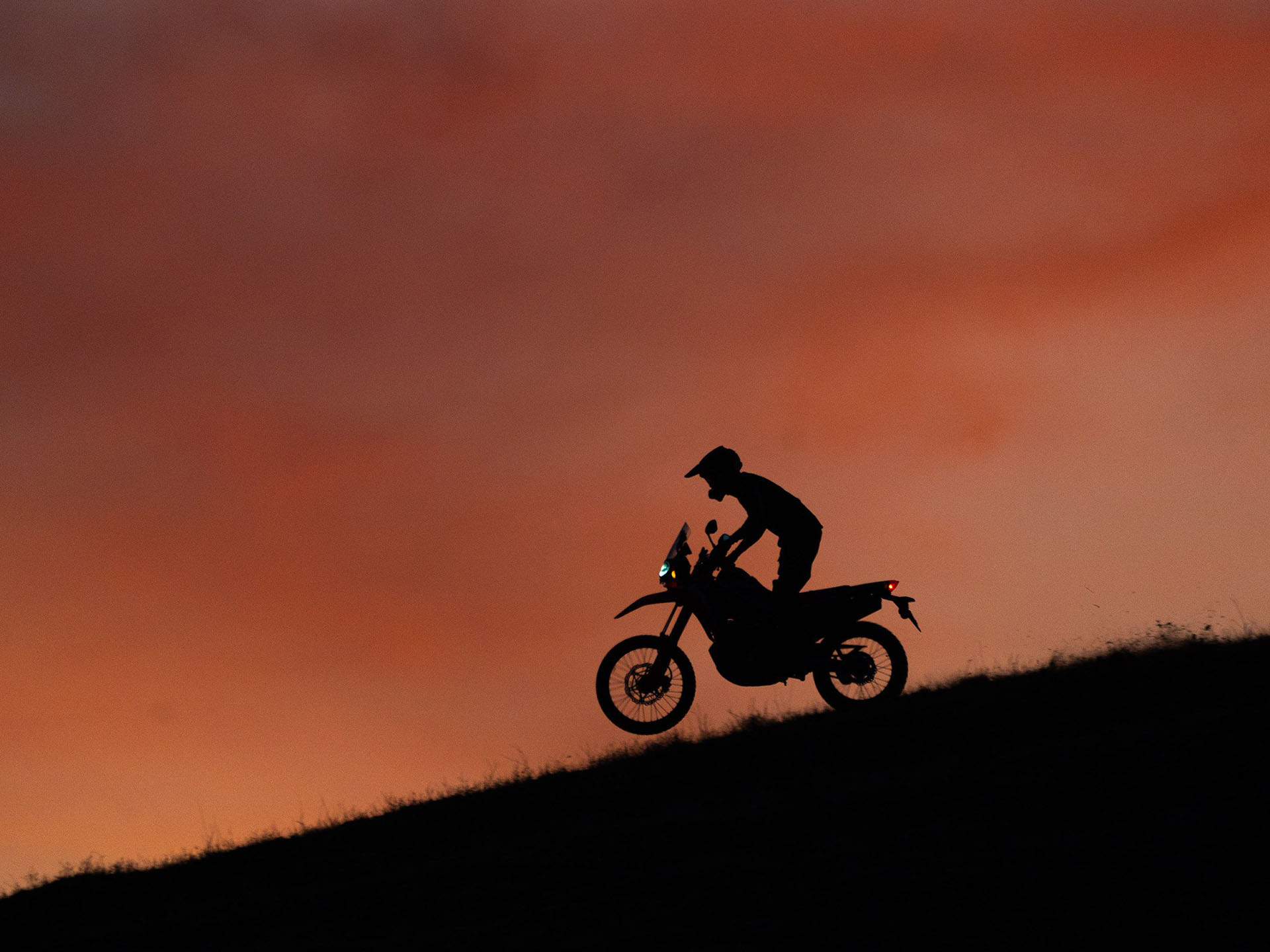 2022 Honda CRF300L Rally ABS in Spencerport, New York - Photo 6