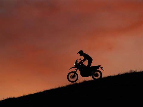 2022 Honda CRF300L Rally ABS in Spencerport, New York - Photo 6