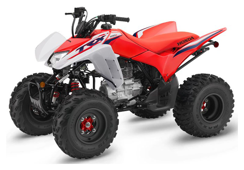 2023 Honda TRX250X in Spencerport, New York