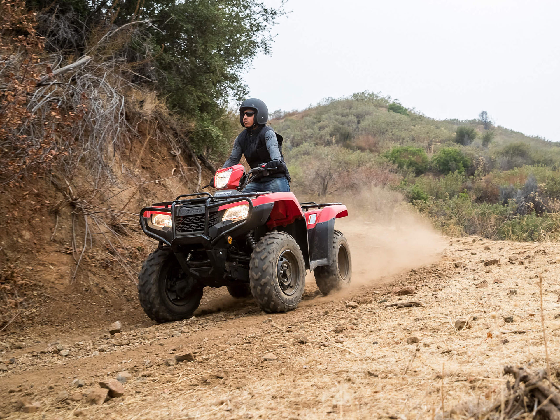 2023 Honda FourTrax Foreman 4x4 in Spencerport, New York - Photo 7