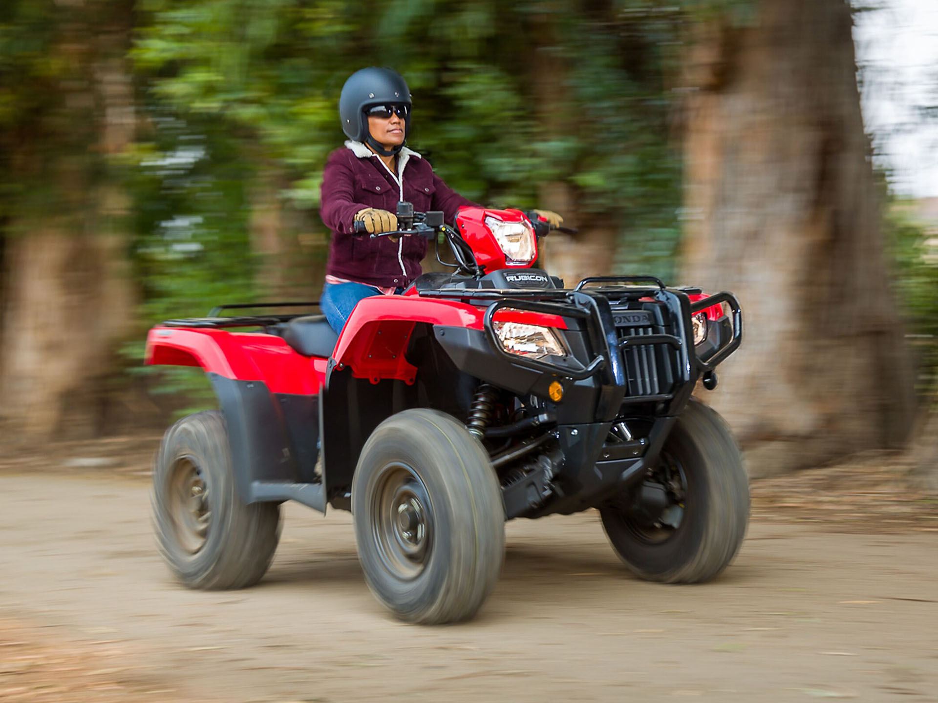 2023 Honda FourTrax Foreman Rubicon 4x4 Automatic DCT EPS Deluxe in Spencerport, New York - Photo 6