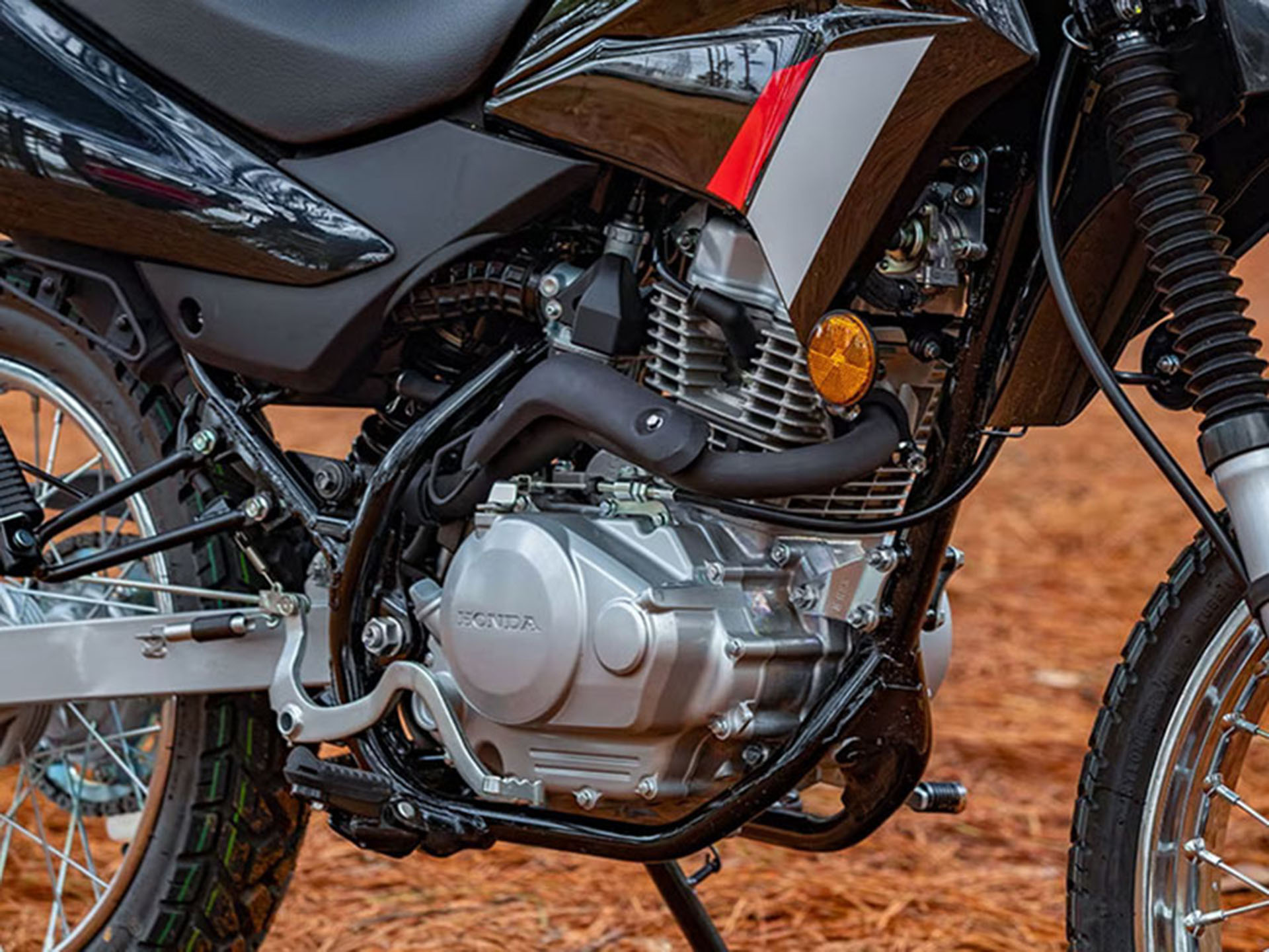 2023 Honda XR150L in Spencerport, New York - Photo 4