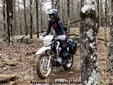 2023 Honda XR150L in Spencerport, New York - Photo 8