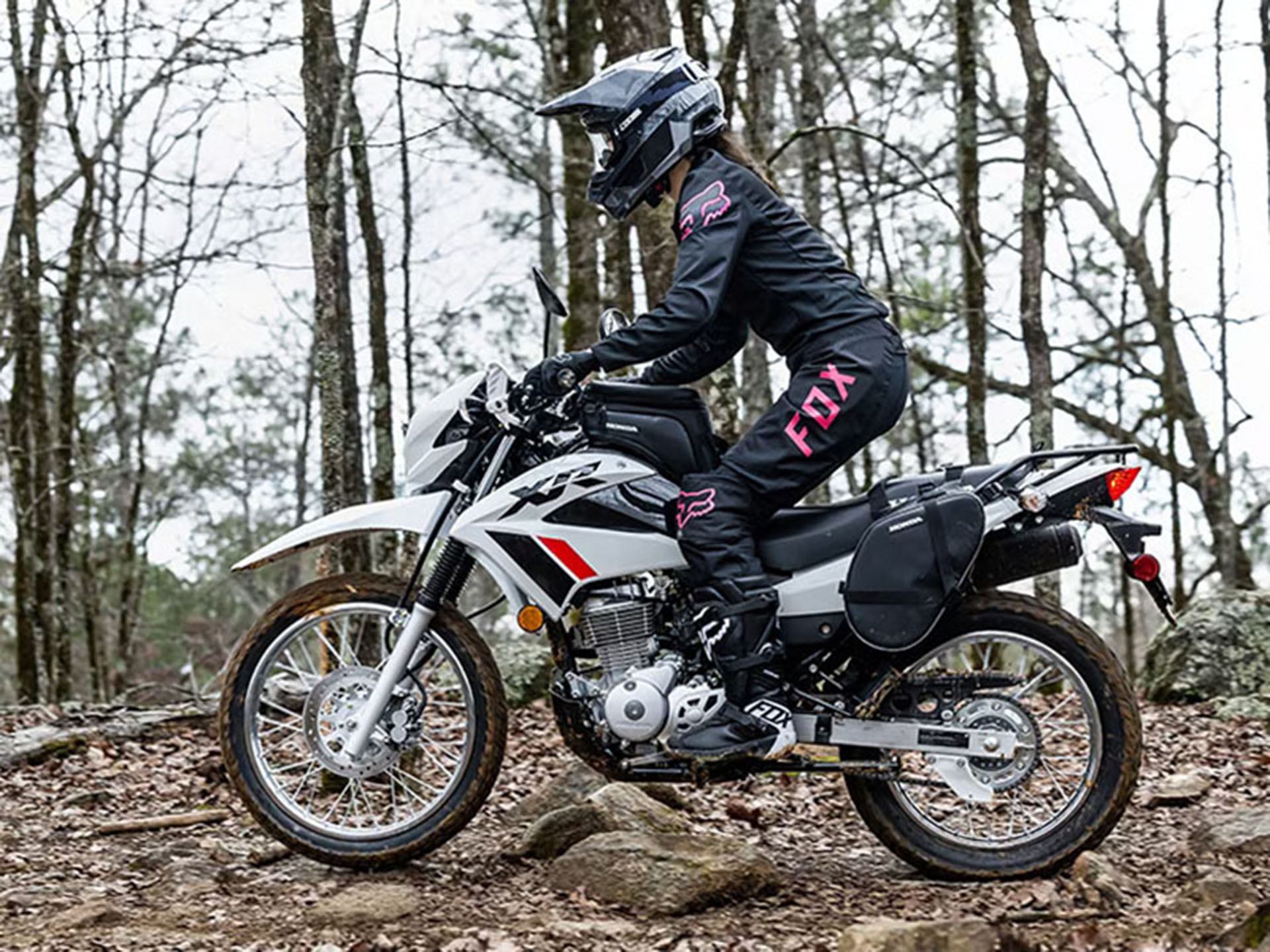 2023 Honda XR150L in Spencerport, New York - Photo 11