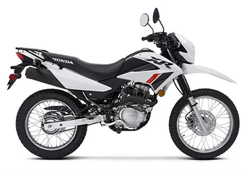 2023 Honda XR150L in Spencerport, New York - Photo 1