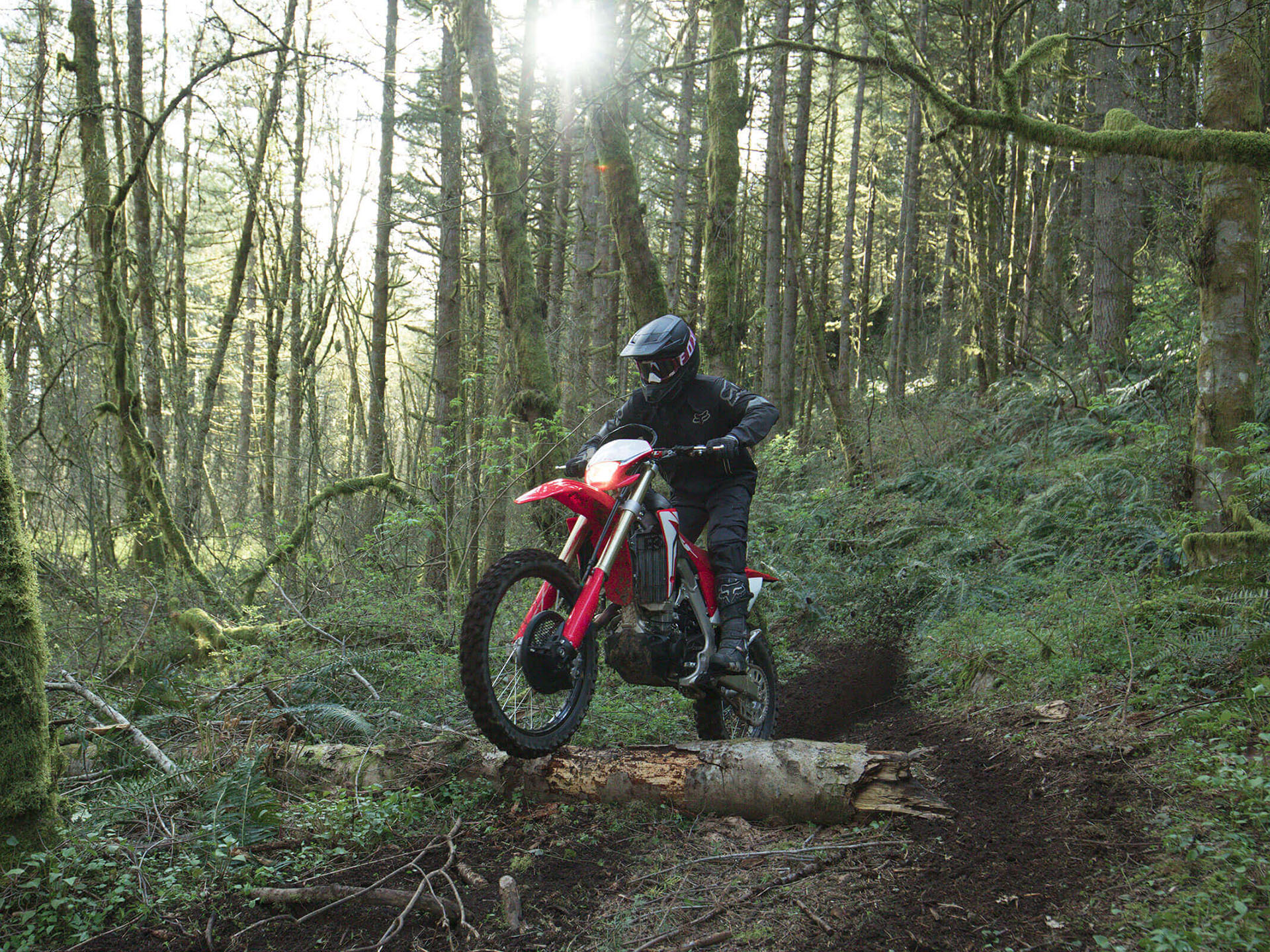 2023 Honda CRF450X in Spencerport, New York - Photo 3