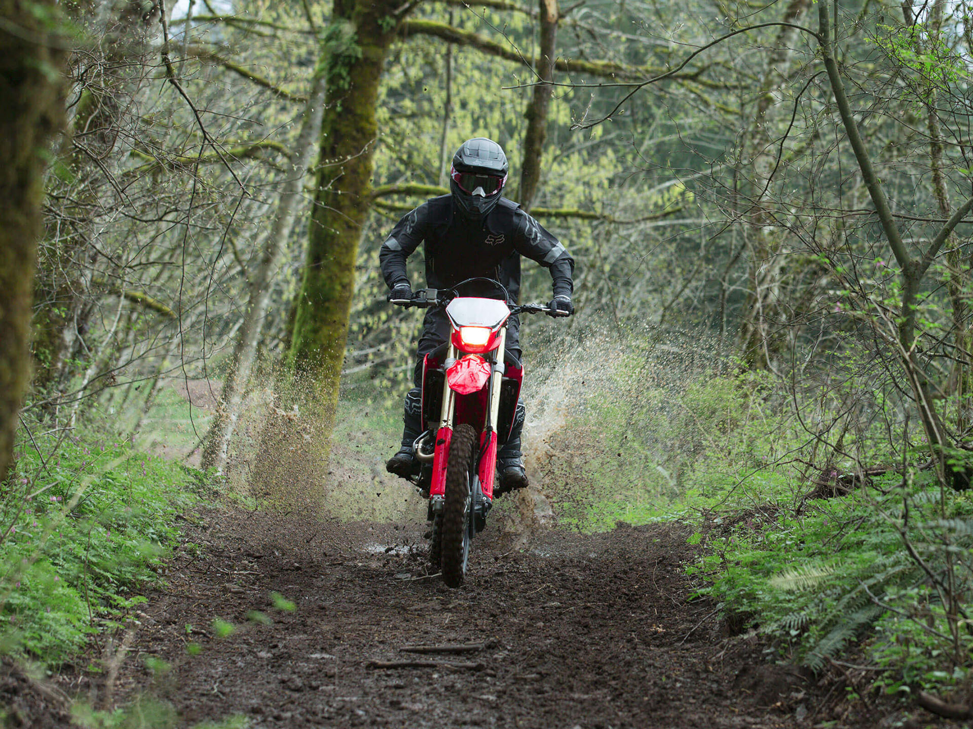 2023 Honda CRF450X in Spencerport, New York - Photo 5