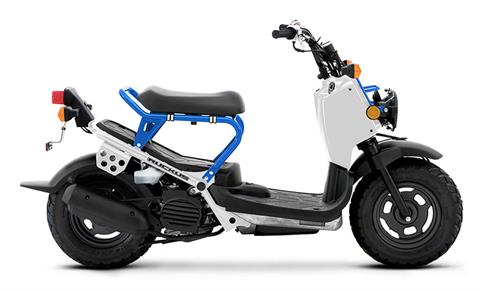 2023 Honda Ruckus in Spencerport, New York