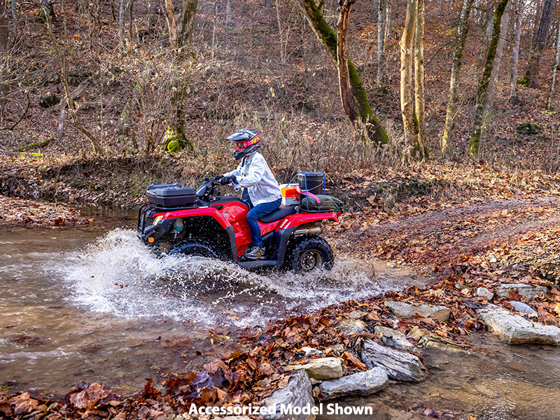 2024 Honda FourTrax Rancher 4x4 Automatic DCT IRS in Spencerport, New York - Photo 6