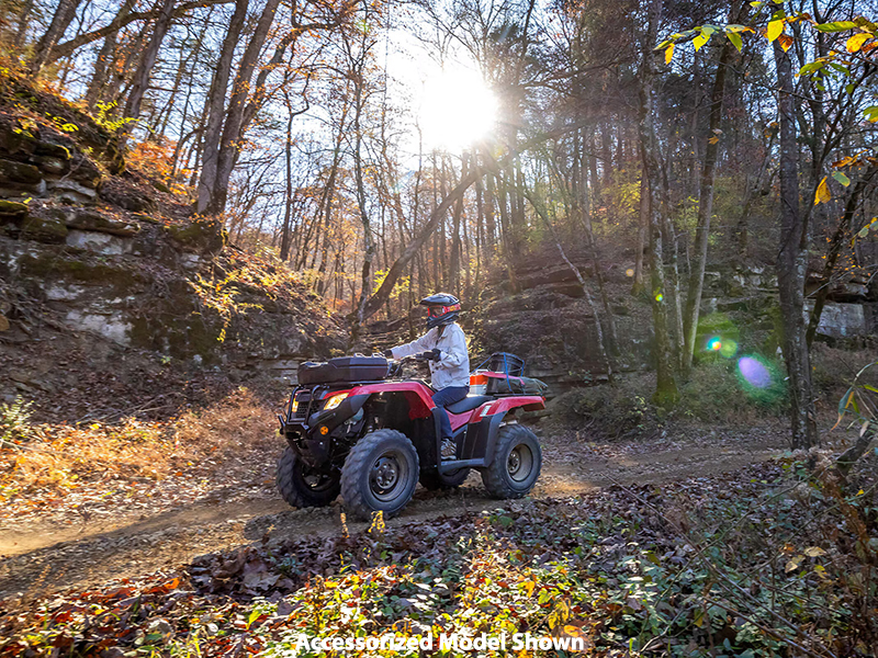 2024 Honda FourTrax Rancher 4x4 Automatic DCT IRS in Spencerport, New York - Photo 8