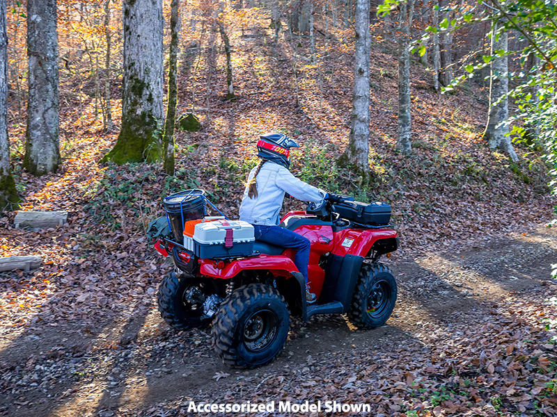 2024 Honda FourTrax Rancher 4x4 Automatic DCT IRS in Spencerport, New York - Photo 10
