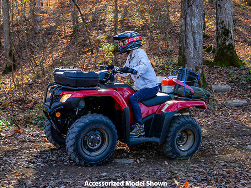 2024 Honda FourTrax Rancher 4x4 Automatic DCT IRS in Spencerport, New York - Photo 11