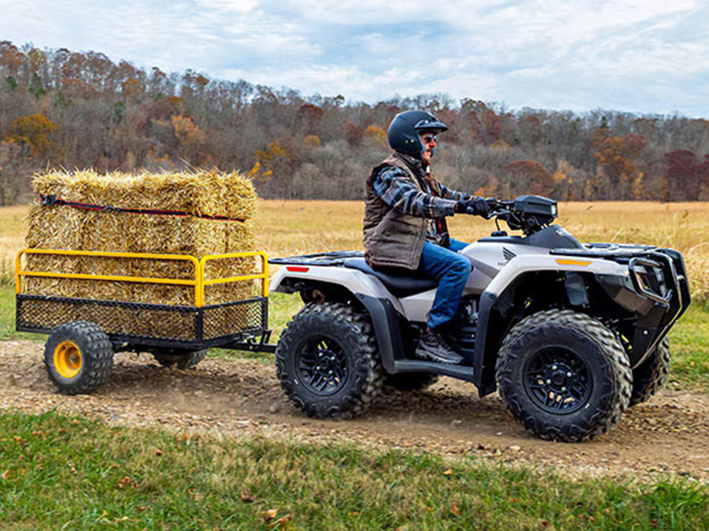 2024 Honda Fourtrax Rubicon 4x4 Automatic in Spencerport, New York - Photo 19