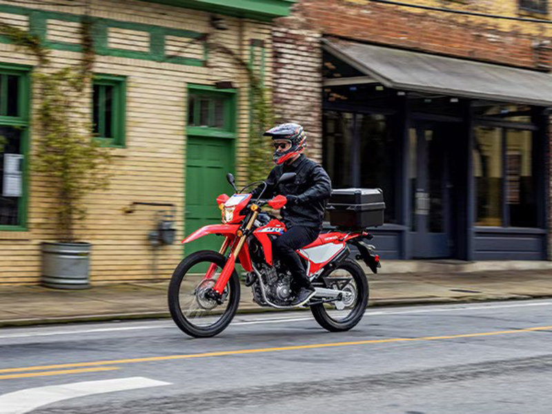 2024 Honda CRF300L ABS in Spencerport, New York - Photo 6