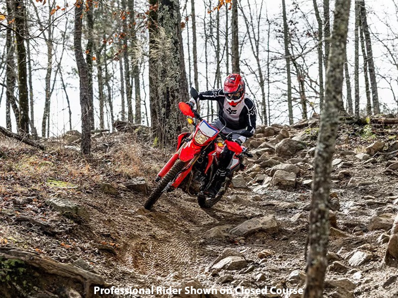 2024 Honda CRF300L ABS in Spencerport, New York - Photo 10