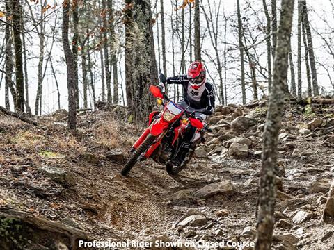 2024 Honda CRF300L ABS in Spencerport, New York - Photo 10