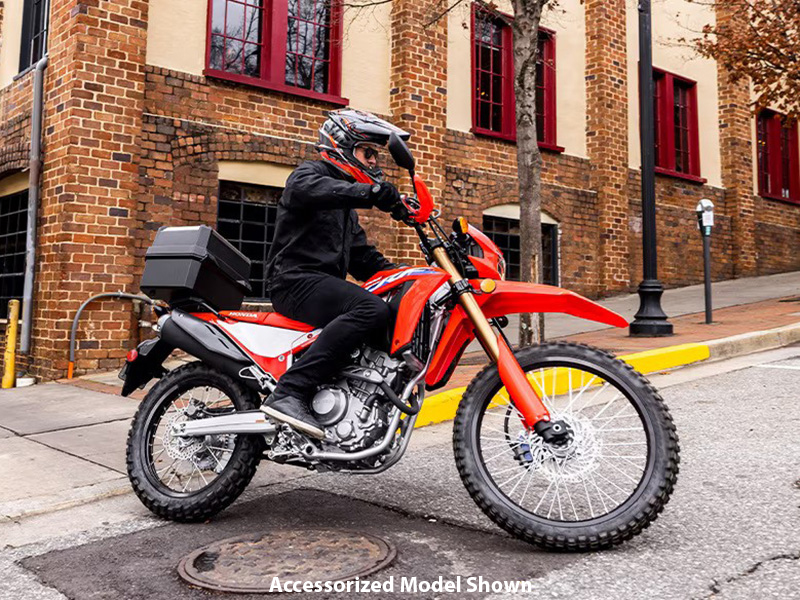 2024 Honda CRF300L ABS in Spencerport, New York - Photo 11
