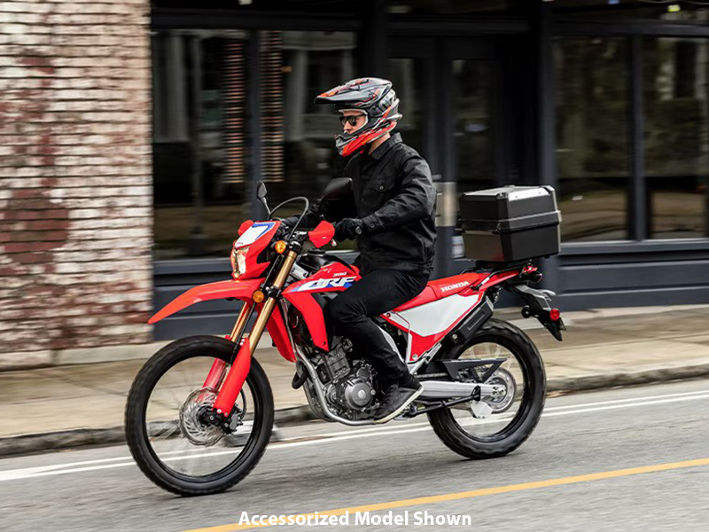 2024 Honda CRF300L ABS in Spencerport, New York - Photo 12