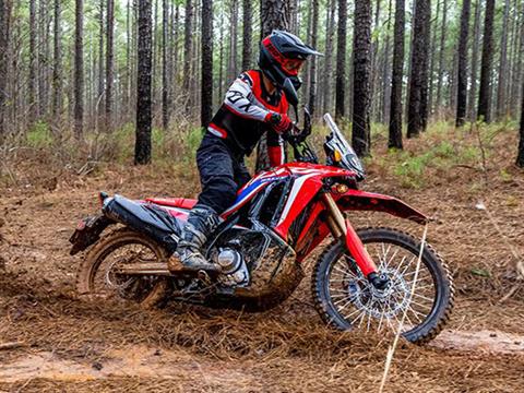 2024 Honda CRF300L Rally in Spencerport, New York - Photo 5