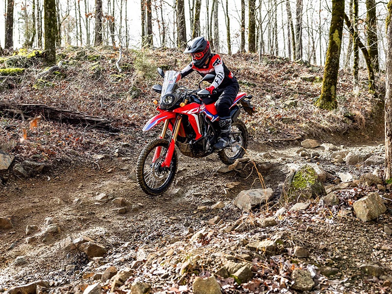 2024 Honda CRF300L Rally in Spencerport, New York - Photo 6