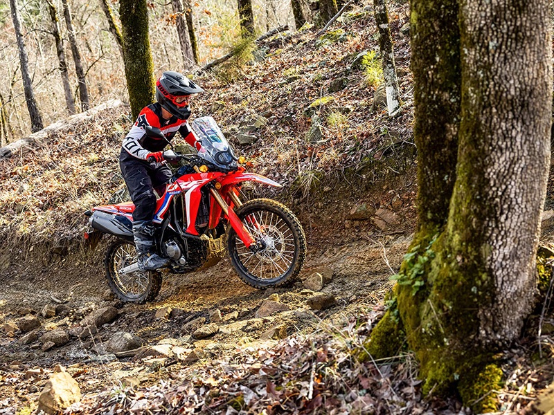2024 Honda CRF300L Rally in Spencerport, New York - Photo 7
