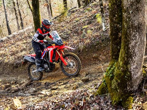 2024 Honda CRF300L Rally in Spencerport, New York - Photo 7