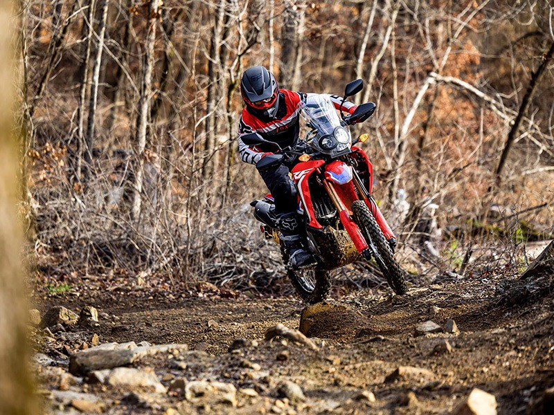2024 Honda CRF300L Rally in Spencerport, New York - Photo 8