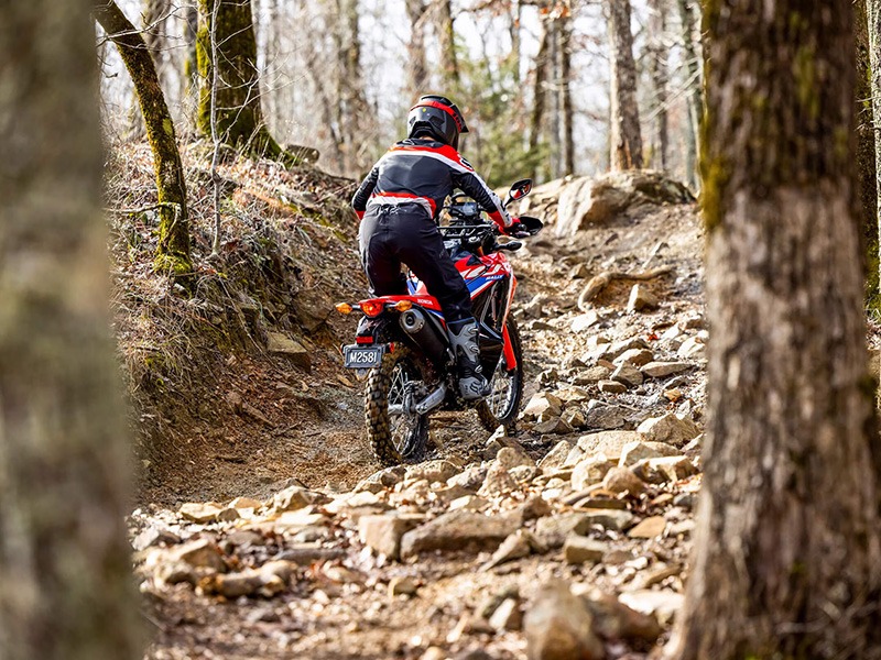 2024 Honda CRF300L Rally in Spencerport, New York - Photo 9