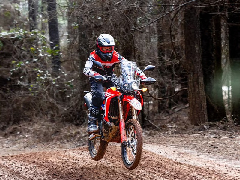 2024 Honda CRF300L Rally in Spencerport, New York - Photo 10