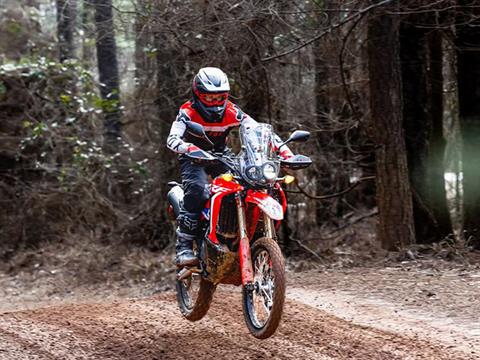 2024 Honda CRF300L Rally in Spencerport, New York - Photo 10