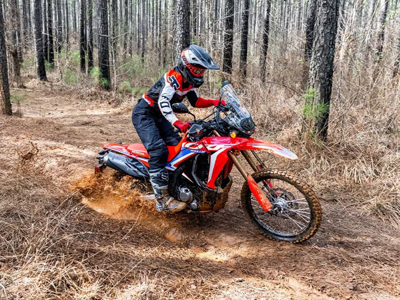 2024 Honda CRF300L Rally in Spencerport, New York - Photo 11
