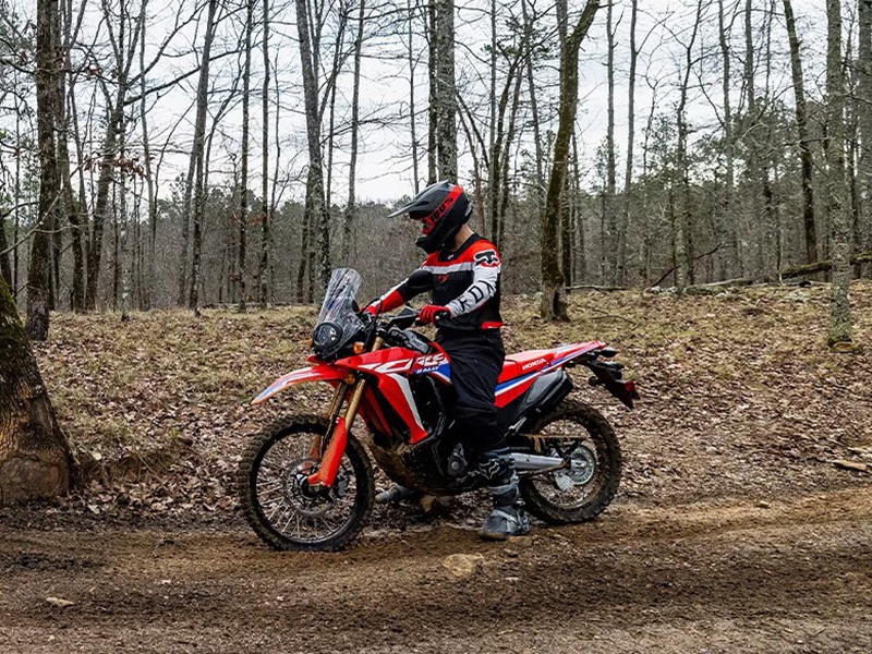 2024 Honda CRF300L Rally in Spencerport, New York - Photo 12