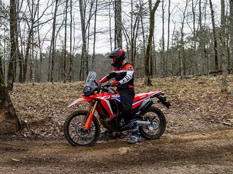 2024 Honda CRF300L Rally in Spencerport, New York - Photo 12