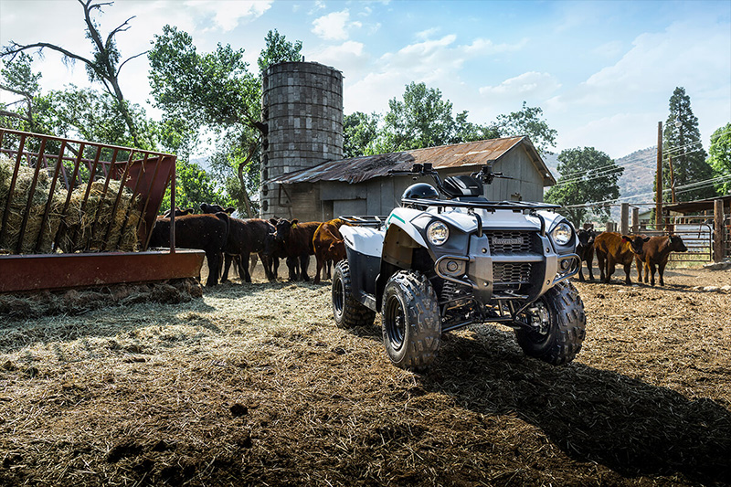 2022 Kawasaki Brute Force 300 in Spencerport, New York - Photo 5