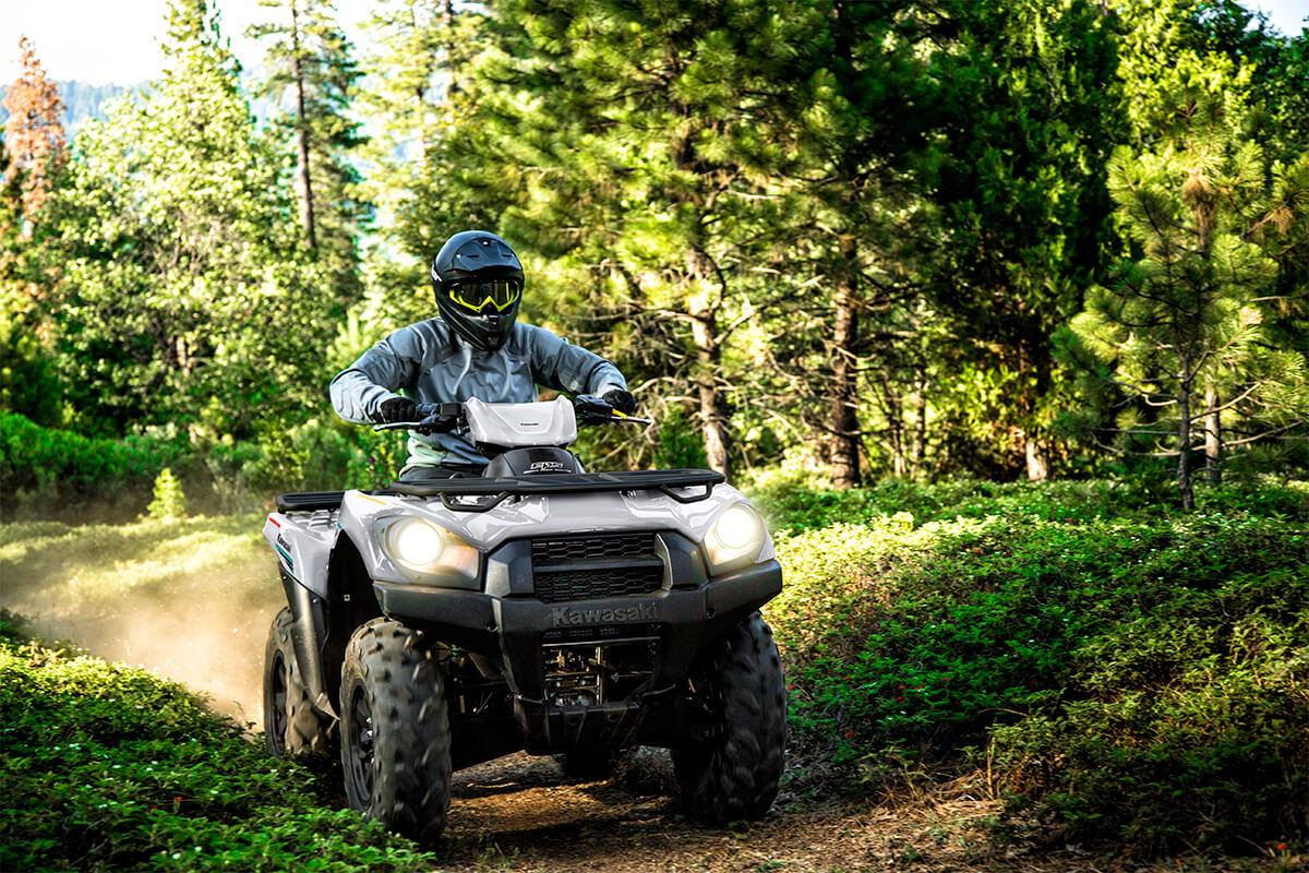 2023 Kawasaki Brute Force 750 4x4i EPS in Spencerport, New York - Photo 5