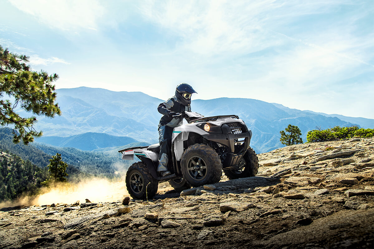 2023 Kawasaki Brute Force 750 4x4i EPS in Spencerport, New York - Photo 8
