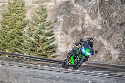 2023 Kawasaki Ninja 650 KRT Edition in Spencerport, New York - Photo 5