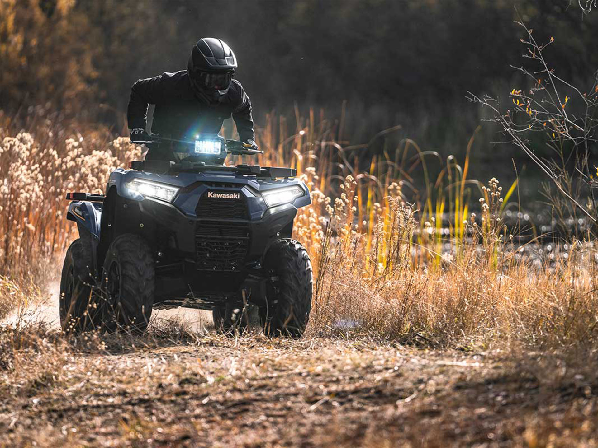 2024 Kawasaki Brute Force 750 EPS in Spencerport, New York - Photo 14