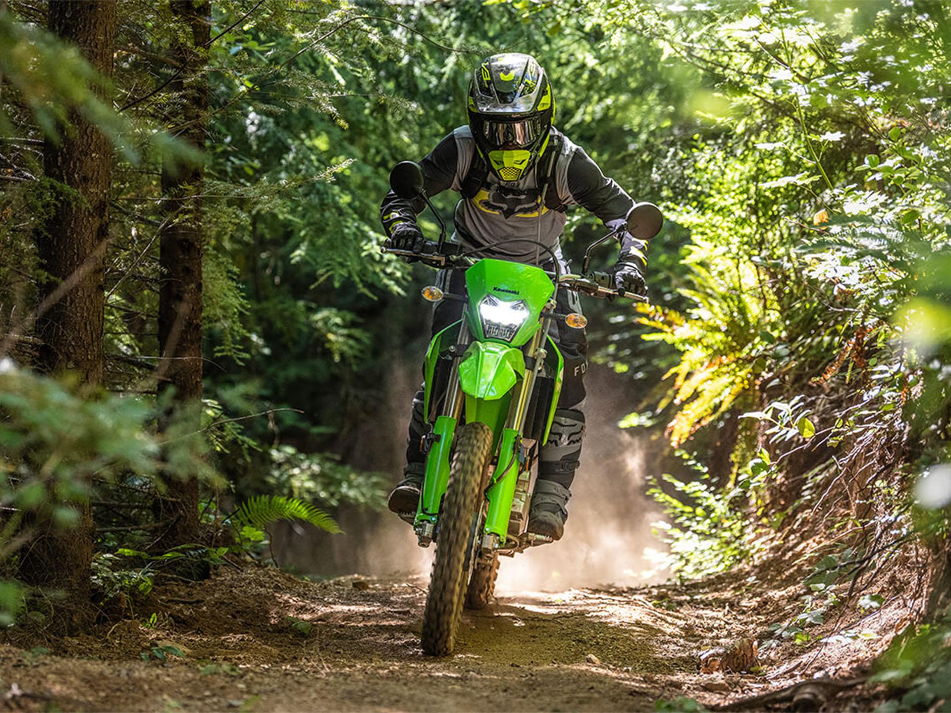 2024 Kawasaki KLX 300 in Spencerport, New York - Photo 14