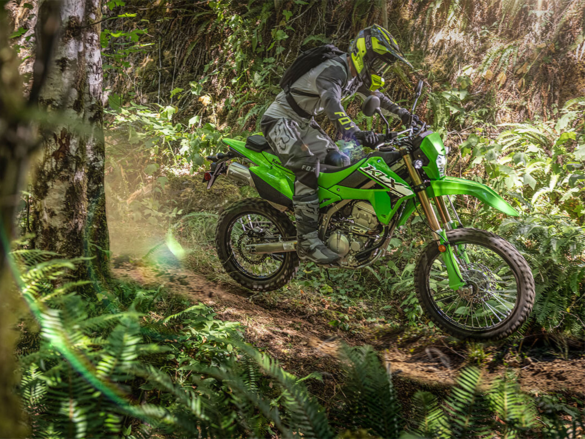 2024 Kawasaki KLX 300 in Spencerport, New York - Photo 15
