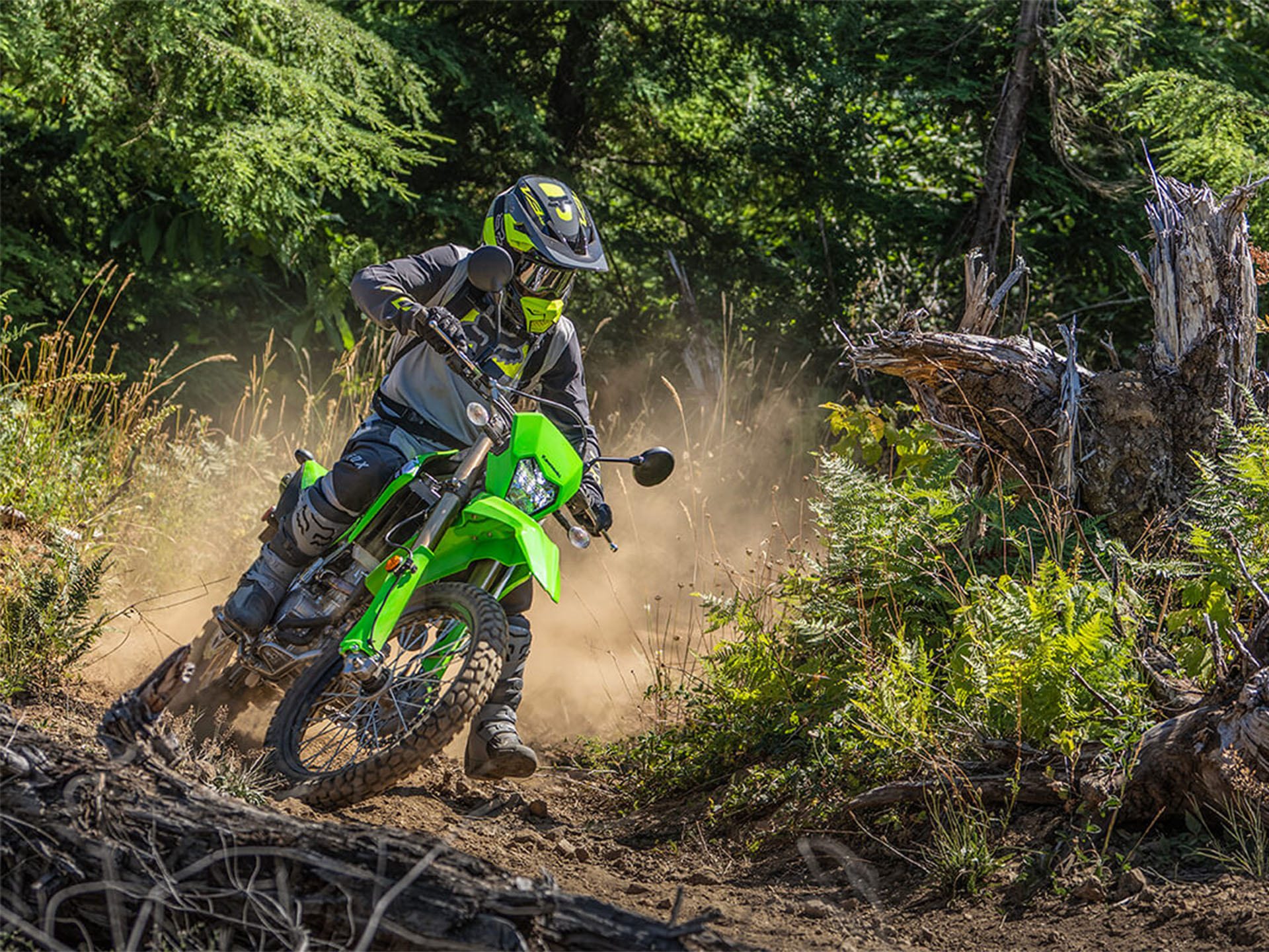 2024 Kawasaki KLX 300 in Spencerport, New York - Photo 18