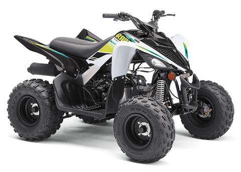 2021 Yamaha Raptor 90 in Spencerport, New York - Photo 2
