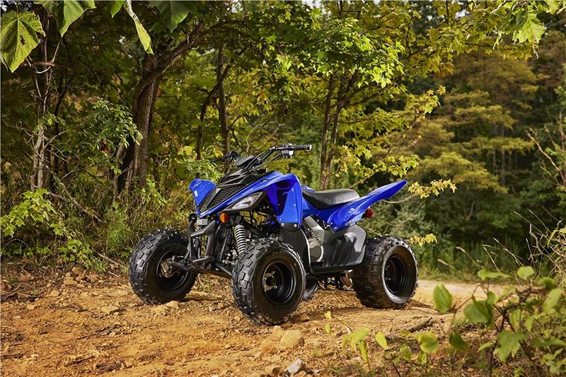 2022 Yamaha Raptor 90 in Spencerport, New York - Photo 8