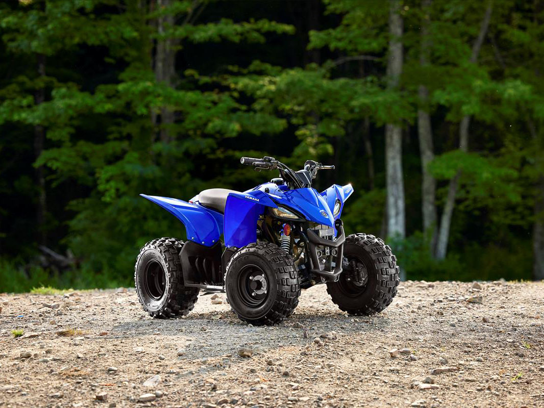 2023 Yamaha YFZ50 in Spencerport, New York - Photo 4
