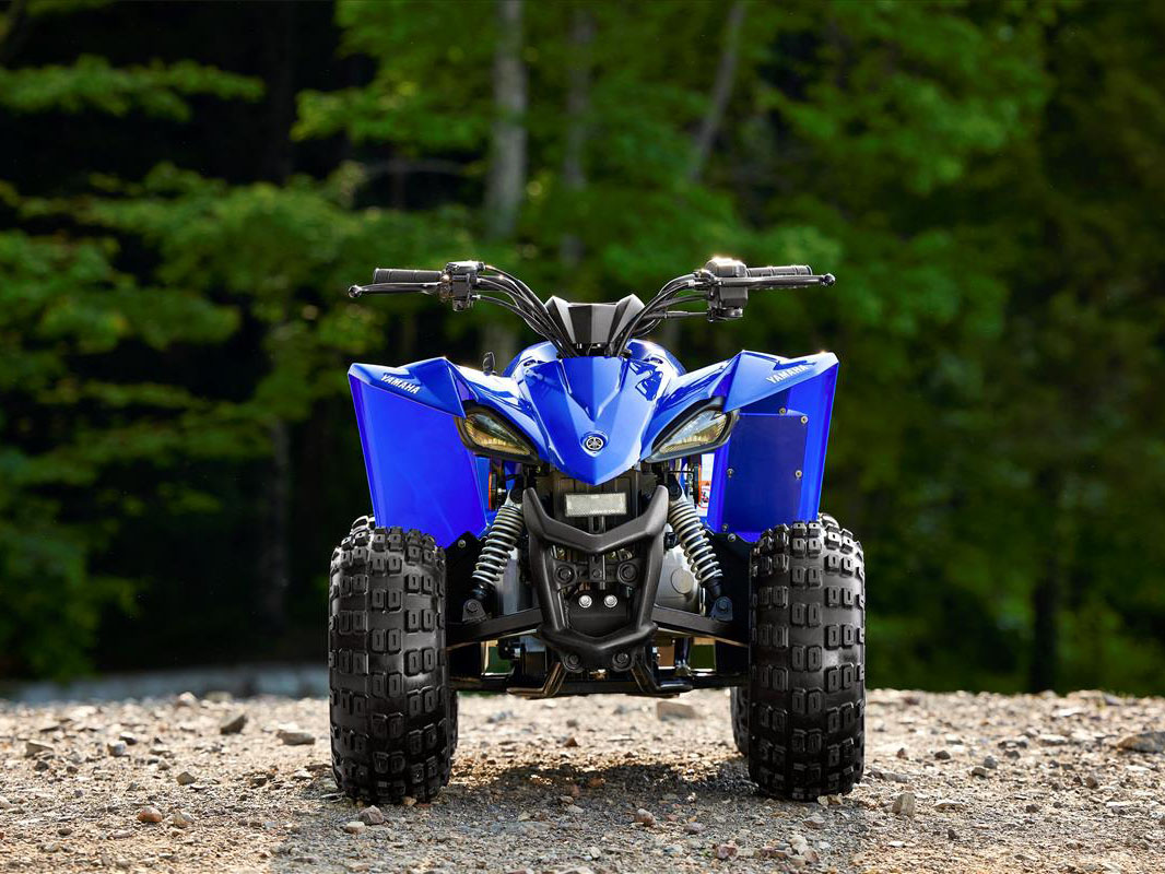 2023 Yamaha YFZ50 in Spencerport, New York - Photo 5