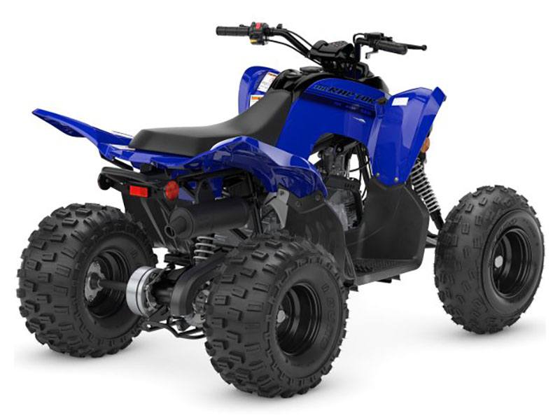 2024 Yamaha Raptor 110 in Spencerport, New York - Photo 6
